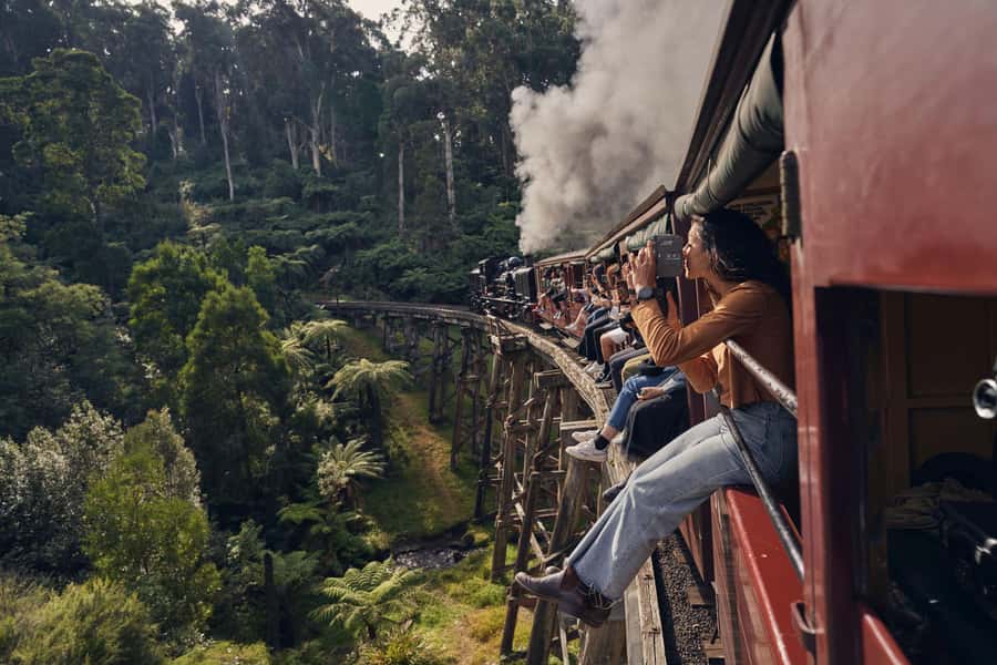 From Melbourne: Puffing Billy Train & Penguin Wildlife Tour - Morning transfer into the Dandenong Ranges