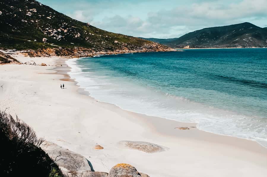 From Melbourne: Wilsons Promontory Small Group Day Tour - Who should book this tour?