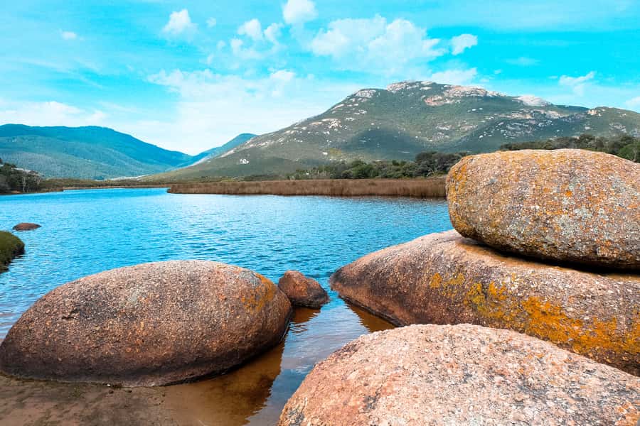 From Melbourne: Wilsons Promontory Small Group Day Tour - Why Wilsons Promontory makes a fine day trip