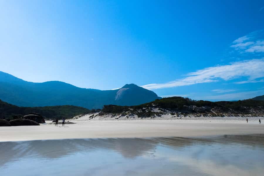 From Melbourne: Wilsons Promontory Small Group Day Tour - Wildlife after the walking