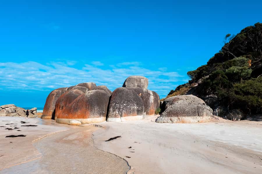 From Melbourne: Wilsons Promontory Small Group Day Tour - The small-group vehicle and guide style