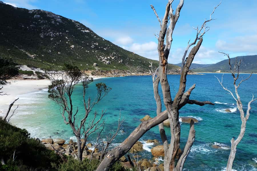From Melbourne: Wilsons Promontory Small Group Day Tour - What $155 gets you