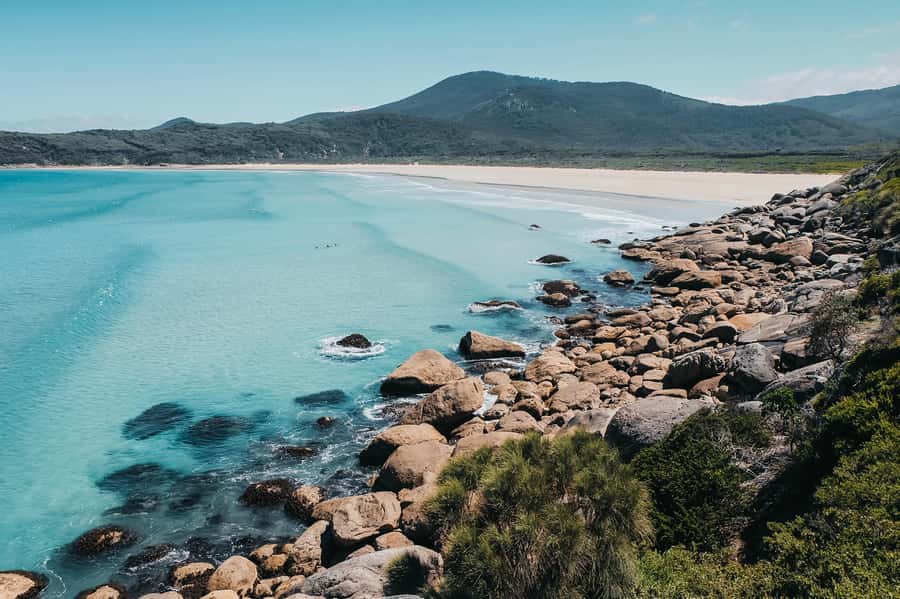 From Melbourne: Wilsons Promontory Small Group Day Tour - The Big Drift: a surprising first walk