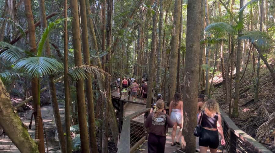 From Noosa: K'gari (Fraser Island) Small-Group Tour - Boorangoora, Lake McKenzie, and the day’s best pause