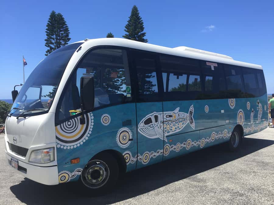 From Perth or Fremantle: Rottnest Island Ferry and Bus Tour - Who should book this Rottnest Island tour?