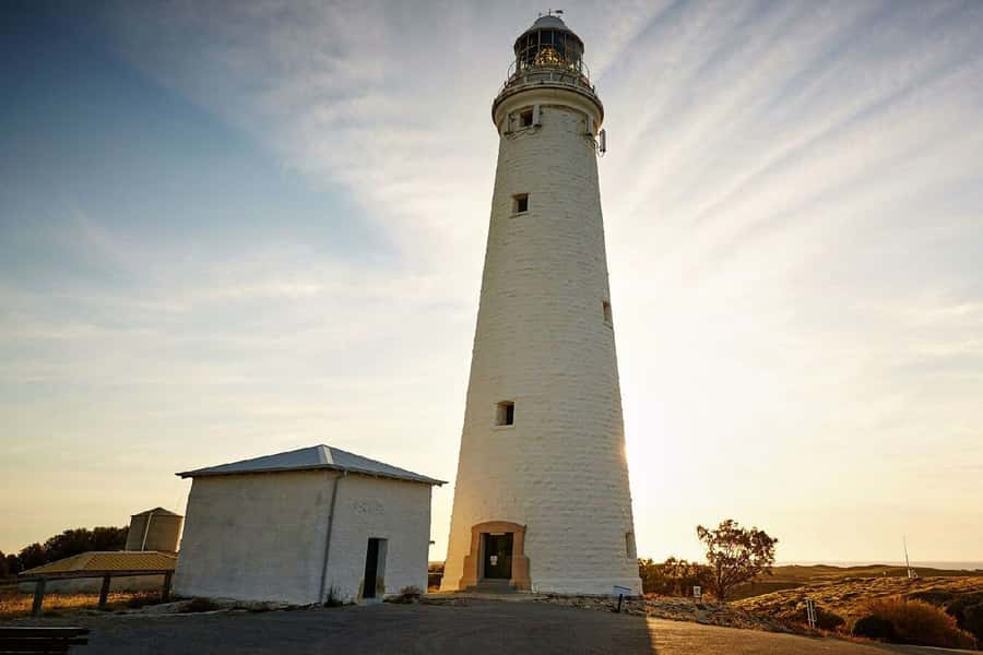 From Perth or Fremantle: Rottnest Island Ferry and Bus Tour - Timing, comfort, and the return ferry