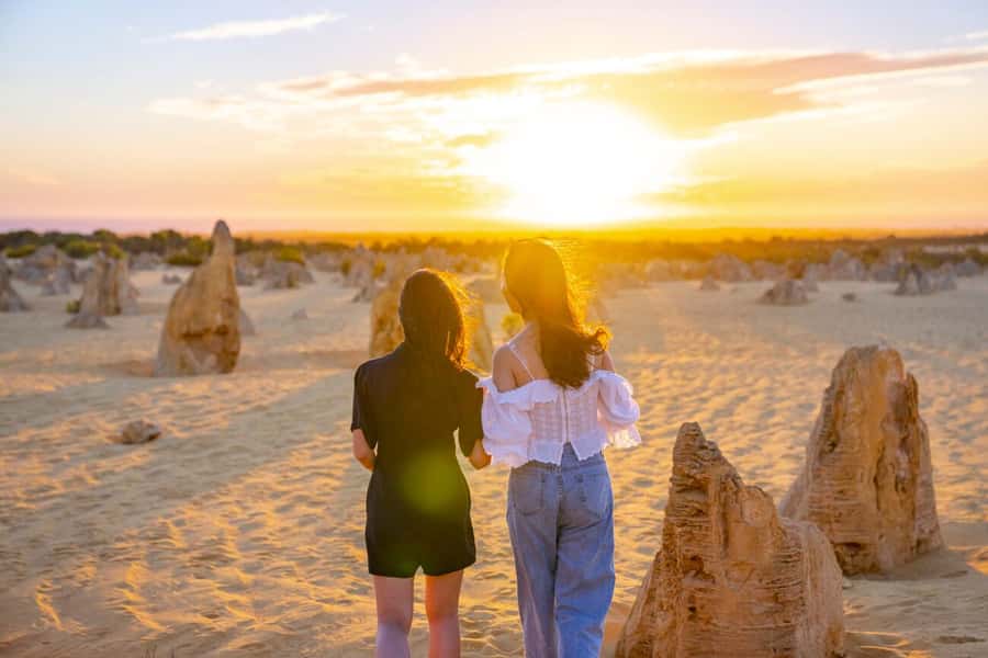 From Perth: Pinnacles Sunset and Stargazing Tour with Dinner - Stargazing in a dark desert