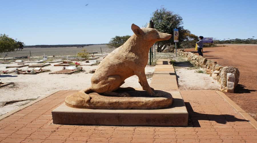 From Perth: Wave Rock, York and Aboriginal Cultural Tour - Corrigin, Kondinin, and the long rural road