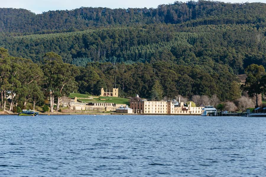 From Port Arthur: Tasman Island Wilderness Cruise - Seals, dolphins, albatross, and whales