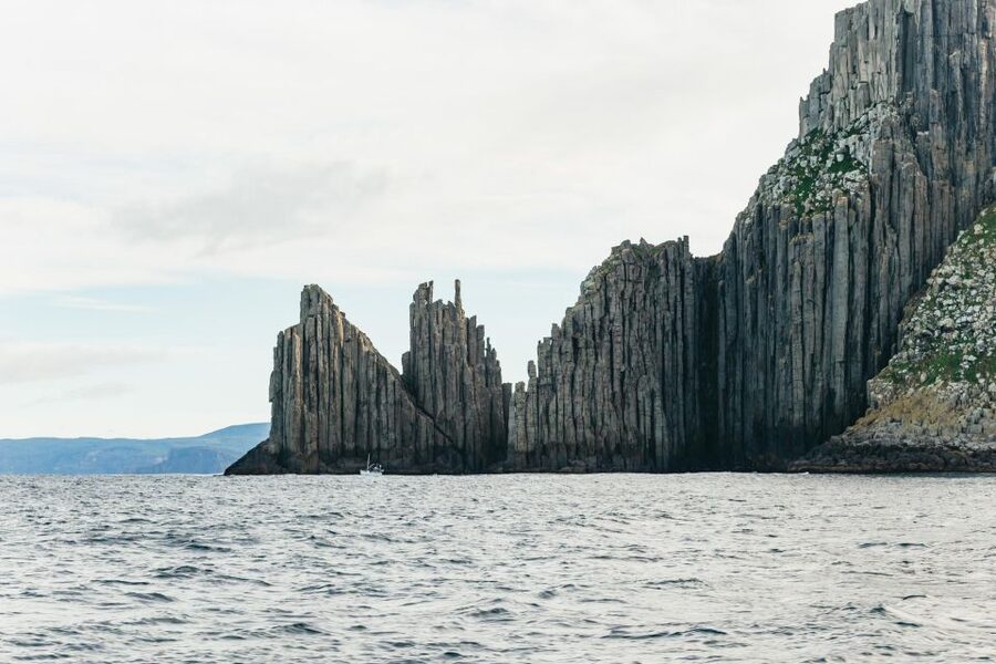 From Port Arthur: Tasman Island Wilderness Cruise - What the boat ride actually feels like