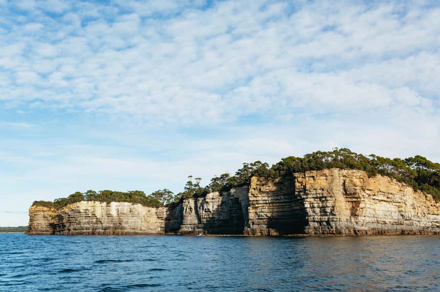 From Port Arthur: Tasman Island Wilderness Cruise - Guides who add value to the outing