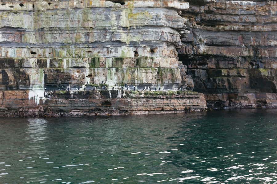 From Port Arthur: Tasman Island Wilderness Cruise - Weather, route changes, and the best time to go