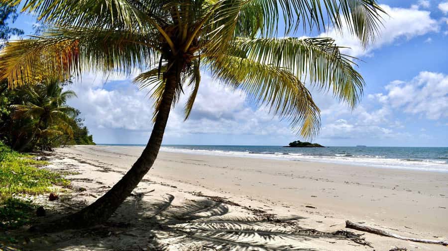 From Port Douglas: Daintree Rainforest & Mossman Gorge Tour - Is $145 good value?