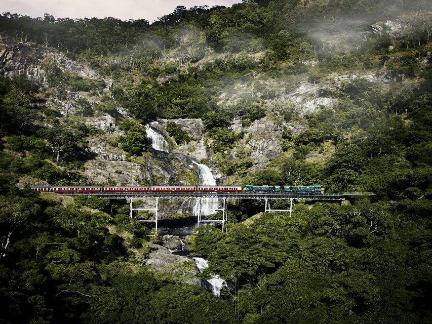 From Port Douglas: Kuranda Tour with Skyrail & Scenic Train - Is $148 good value?