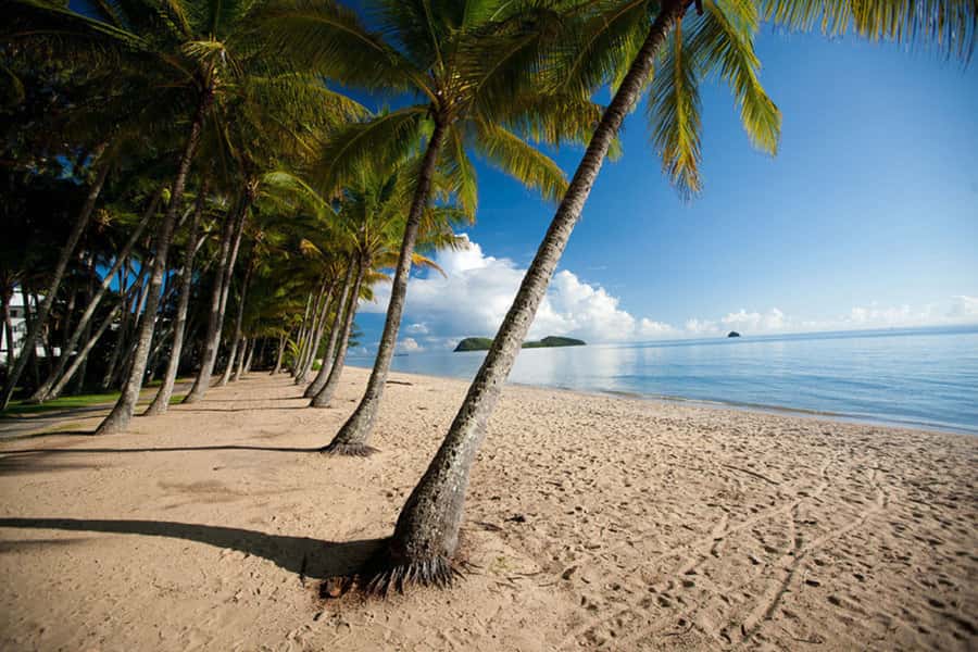 From Port Douglas: Kuranda Tour with Skyrail & Scenic Train - Who should book this day trip?