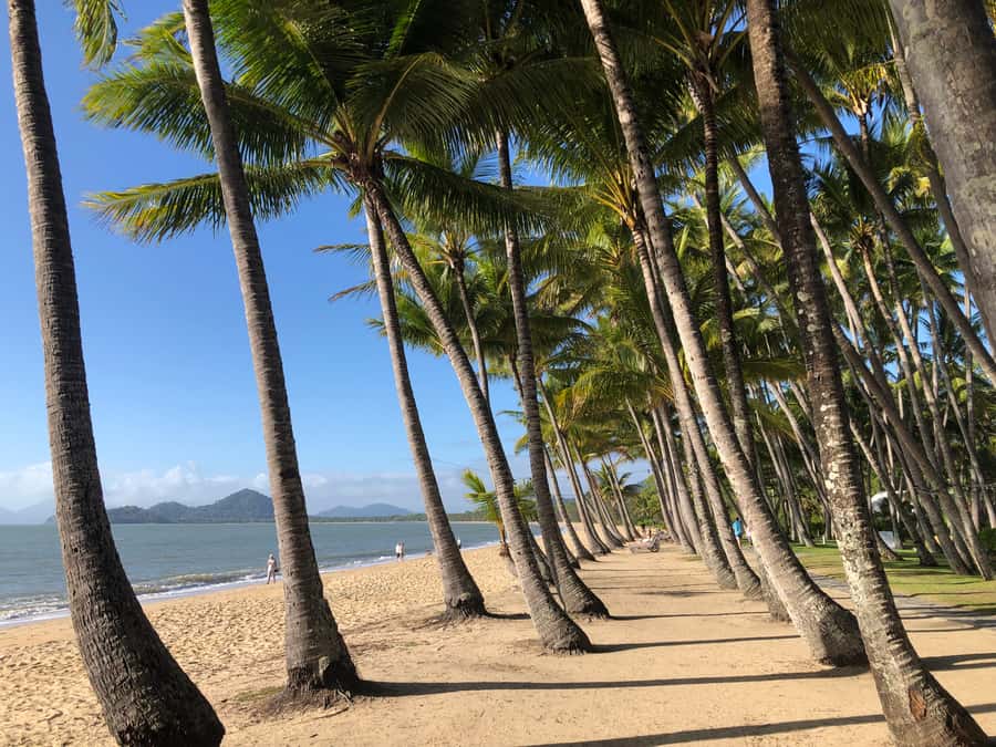 From Port Douglas: Kuranda via Scenic Rail or Skyrail Option - Key points to know before booking