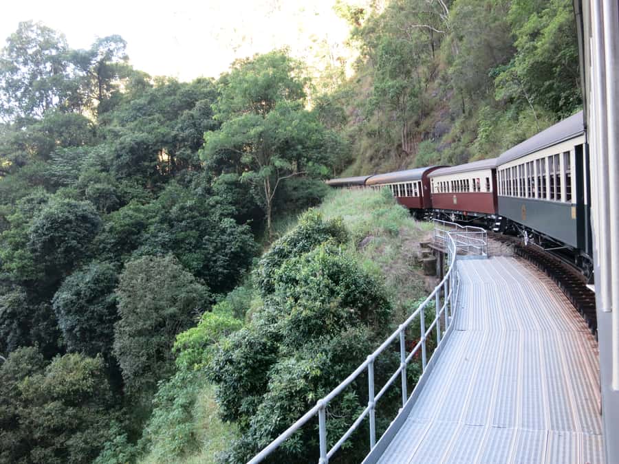 From Port Douglas: Kuranda via Scenic Rail or Skyrail Option - Palm Cove gives the day a gentler ending
