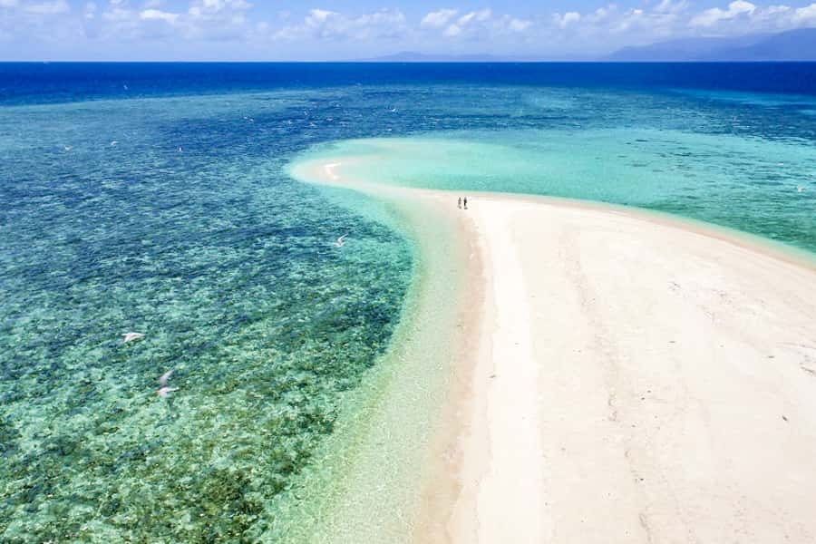 From Port Douglas: Outer Reef Cruise by Luxury Catamaran - Should you book the Sailaway Outer Reef Cruise?