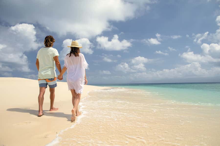 From Port Douglas: Outer Reef Cruise by Luxury Catamaran - Lunch on board, with time to slow down