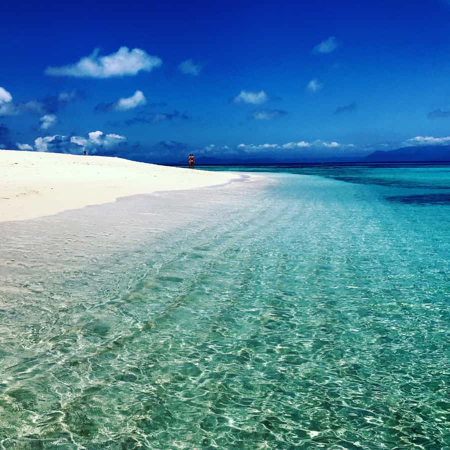 From Port Douglas: Outer Reef Cruise by Luxury Catamaran - Sailing back toward Port Douglas