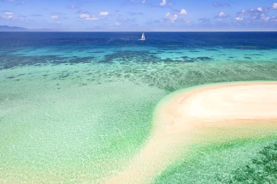 From Port Douglas: Outer Reef Cruise by Luxury Catamaran - Mackay Cay and the first reef site