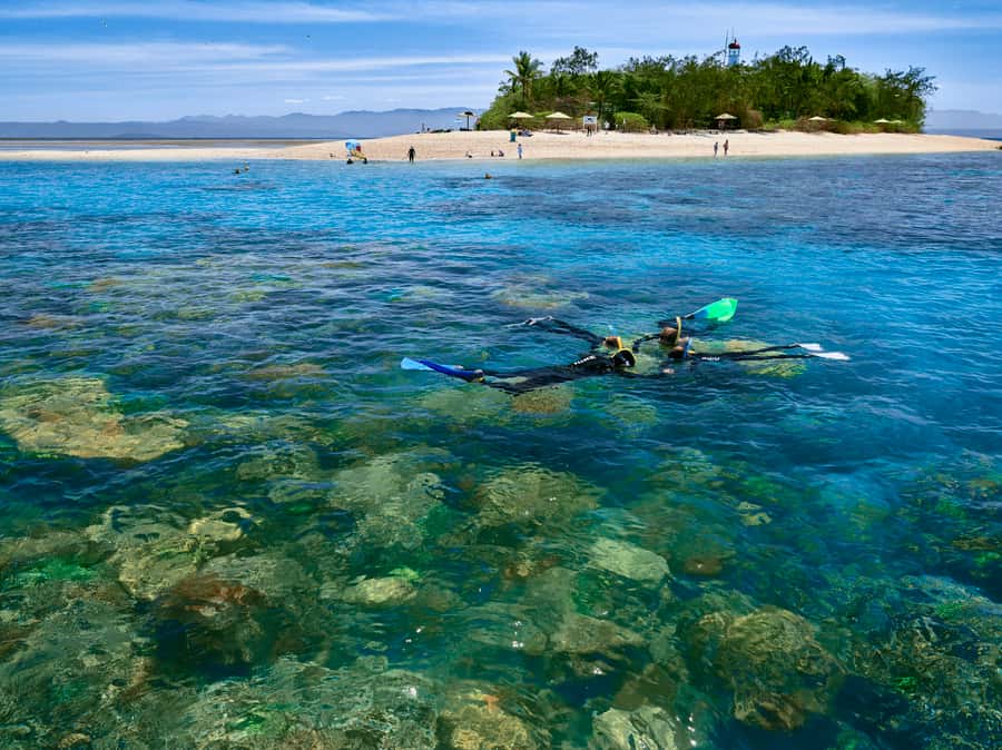 From Port Douglas: Sail to Low Isles Great Barrier Reef - Key points to know before you book