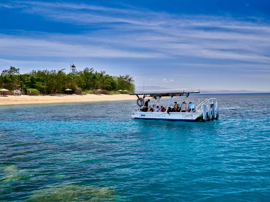 From Port Douglas: Sail to Low Isles Great Barrier Reef - Sailing from Port Douglas on Wavedancer