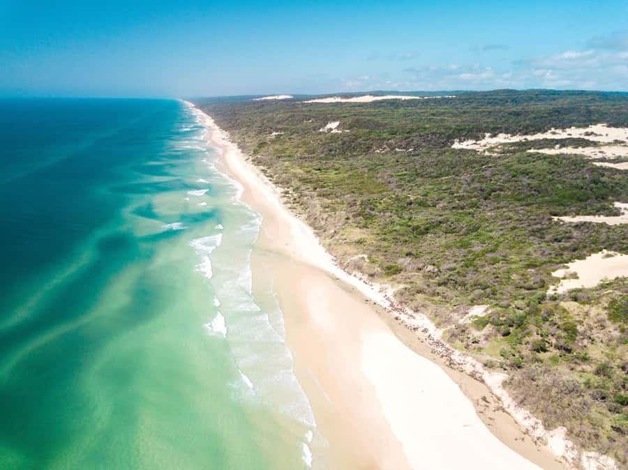 From Rainbow Beach: K'gari Fraser Island Full-Day Coach Tour - Lake McKenzie: the day’s big freshwater stop