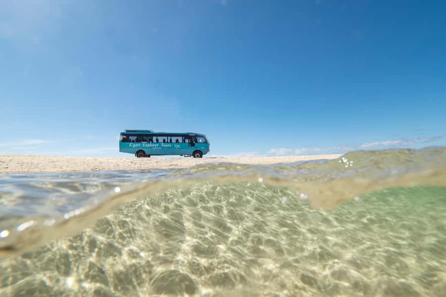 From Rainbow Beach: K'gari Fraser Island Full-Day Coach Tour - Eli Creek offers a different kind of swim