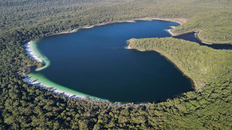 From Rainbow Beach: K'gari (Fraser Island) Full-Day Tour - What $197 buys you