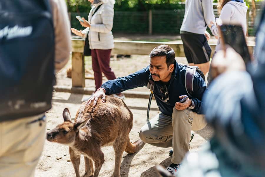 From Sydney: Blue Mountains Full-Day Trip - Who should book this experience?