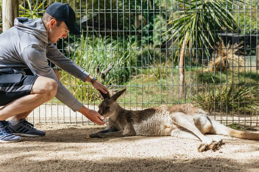 From Sydney: Blue Mountains Full-Day Trip - Why this tour works for a first Blue Mountains visit