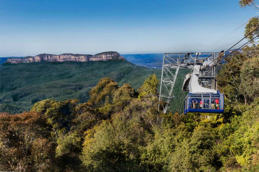 From Sydney: Blue Mountains, Scenic World, Zoo, & Ferry Ride - The Parramatta River ferry back to Circular Quay