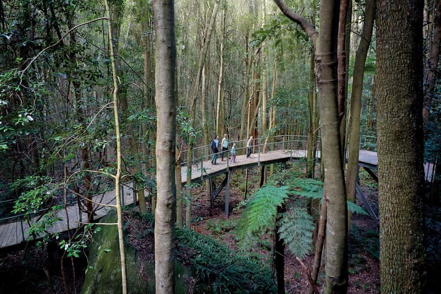 From Sydney: Blue Mountains, Scenic World, Zoo, & Ferry Ride - The early pickup from three Sydney hotels