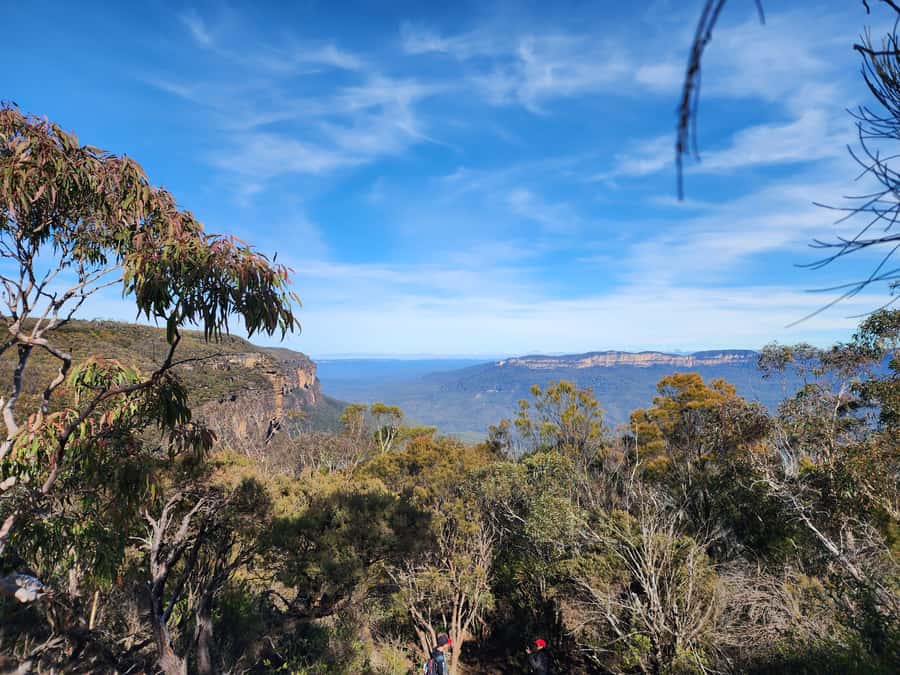 From Sydney: Blue Mountains Tour with Waterfall Walk & Lunch - What Makes This Blue Mountains Tour Different