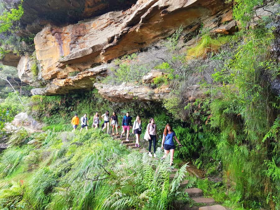 From Sydney: Blue Mountains Tour with Waterfall Walk & Lunch - The 7:30am Start in Central Sydney