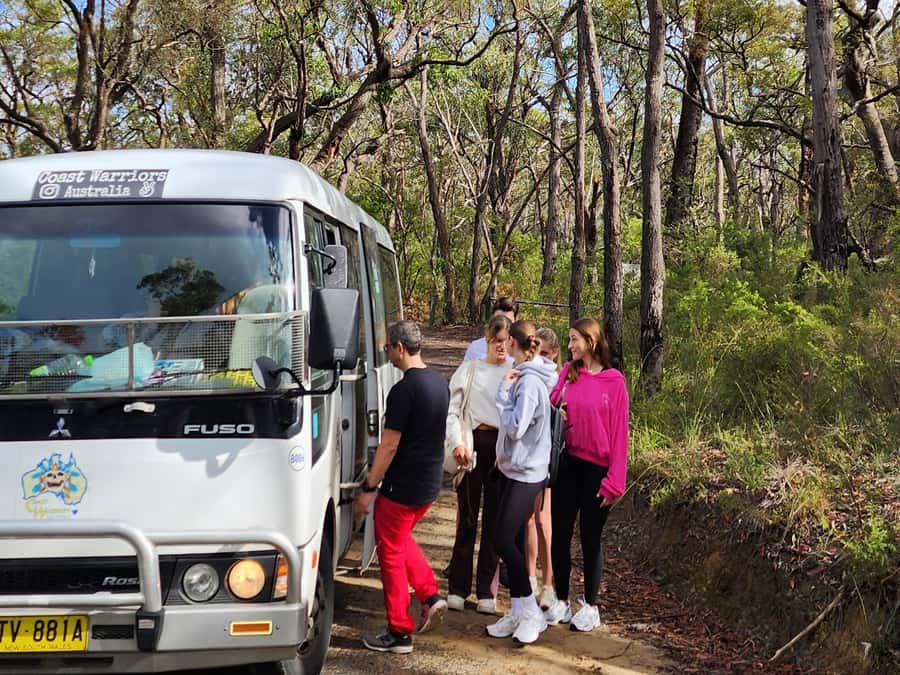 From Sydney: Blue Mountains Tour with Waterfall Walk & Lunch - Why the Minibus Format Works