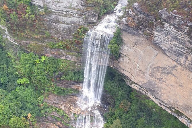 From Sydney: Blue Mountains with Zoo, Koala Photo & Scenic World - Leura gives you one hour for lunch
