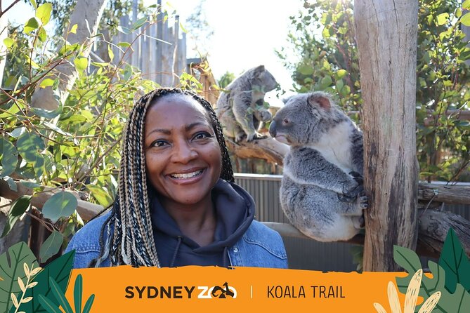 From Sydney: Blue Mountains with Zoo, Koala Photo & Scenic World - Gordon Falls offers a quieter mountain pause