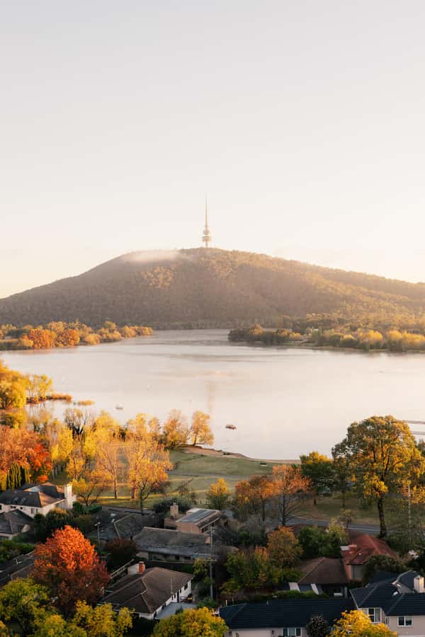 From Sydney: Explore Canberra Includes Buffet Lunch - Parliament House: the centrepiece of the day