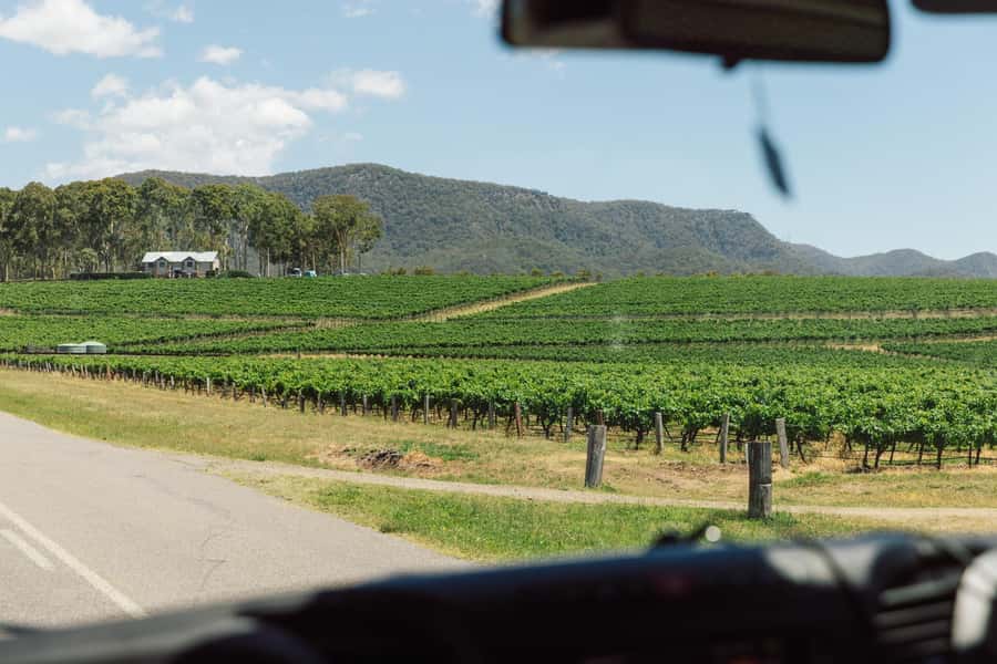 From Sydney: Full-Day Hunter Valley Wine Tour & Lunch - Key Points Before You Book