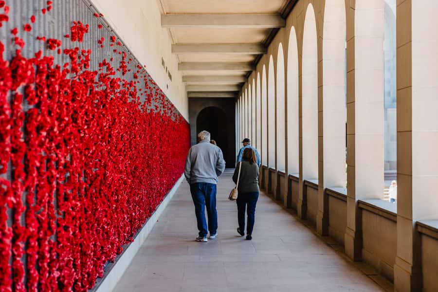 From Sydney: Full-Day Tour to Canberra - Floriade: the seasonal bonus from September to October