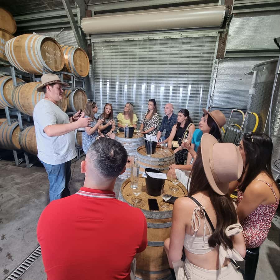 From Sydney: Hunter Valley Wine, Gin & Food Tastings Tour - First cellar door: start with the wine