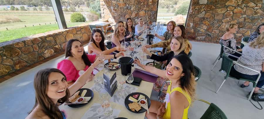 From Sydney: Hunter Valley Wine, Gin & Food Tastings Tour - Guides make a major difference
