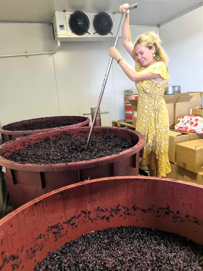 From Sydney: Hunter Valley Wine, Gin & Food Tastings Tour - The Sydney departure and the long road north
