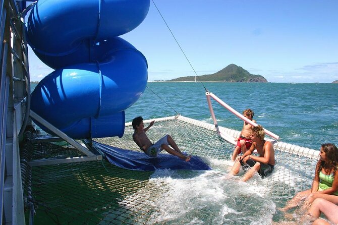 From Sydney: Port Stephens Dolphin, Koalas, Lunch & Sandboarding - What this Sydney day trip is really like