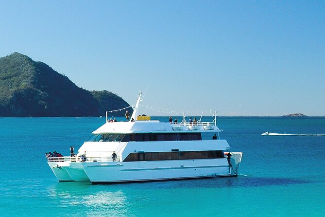 From Sydney: Port Stephens Dolphin, Koalas, Lunch & Sandboarding - Dolphins on Port Stephens Marine Park