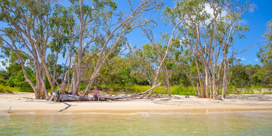 From Yeppoon: Great Keppel Island Snorkeling Hire with Lunch - At a glance: what makes this day trip useful
