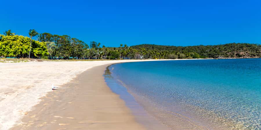 From Yeppoon: Great Keppel Island Snorkeling Hire with Lunch - Who will enjoy this most