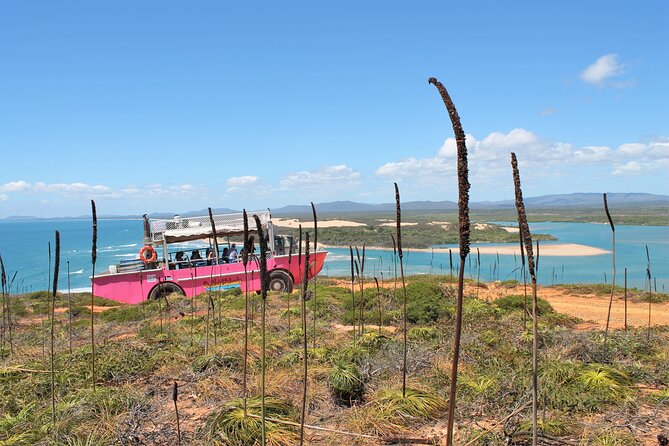 Full-Day 1770 Tour by LARC Amphibious Vehicle Including Sandboarding and Bustard Head Lightstation - The Bustard Head Lightstation visit